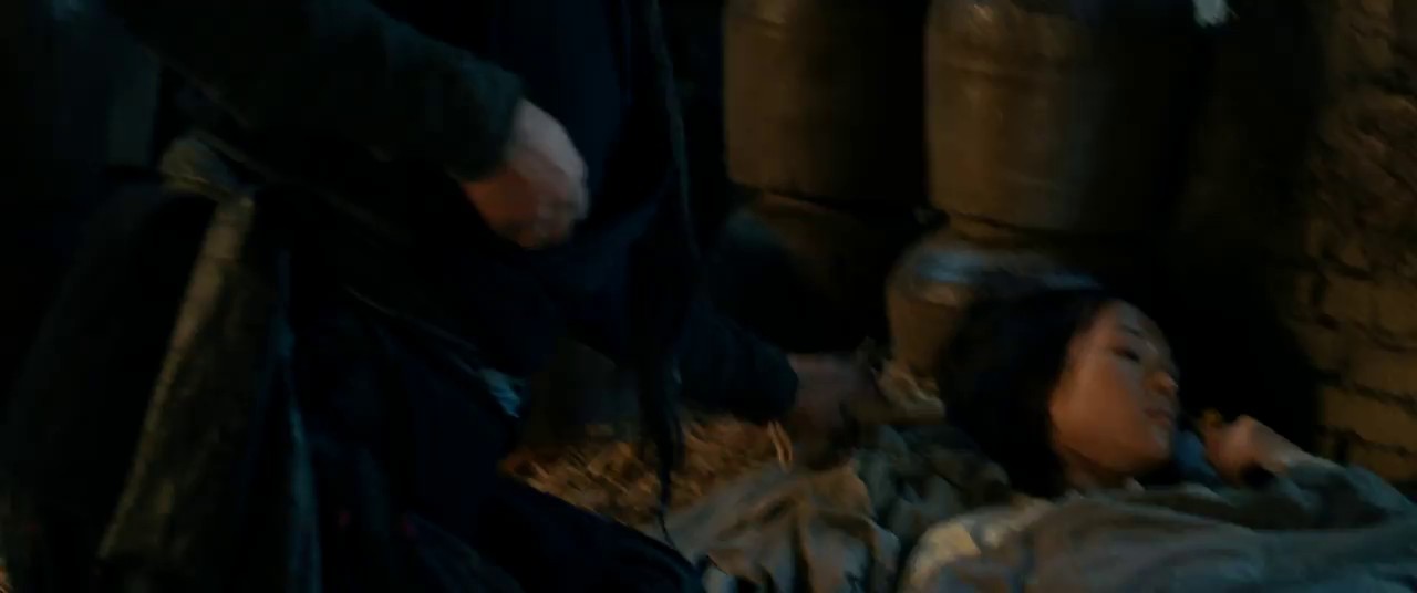 Crouching Tiger, Hidden Dragon (2000) BluRay Hindi + En zh 720p x264 AVC HE-AAC 2.0 ESub.mkv.0004